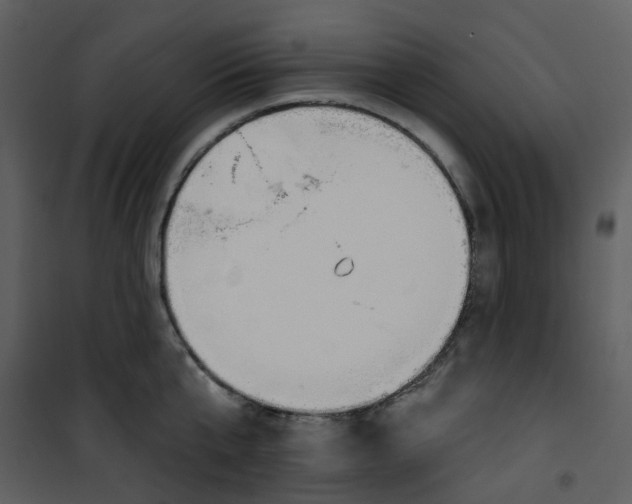 X0000101200807200807181533