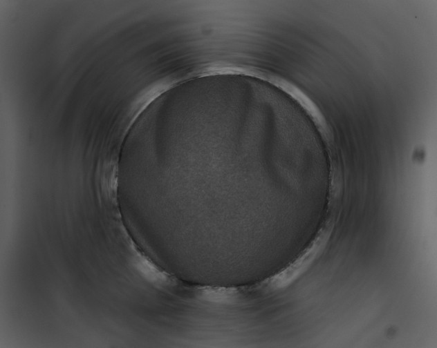 X0000101200809200807181533