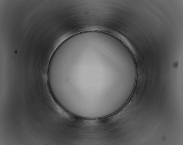 X0000101200810200807181533