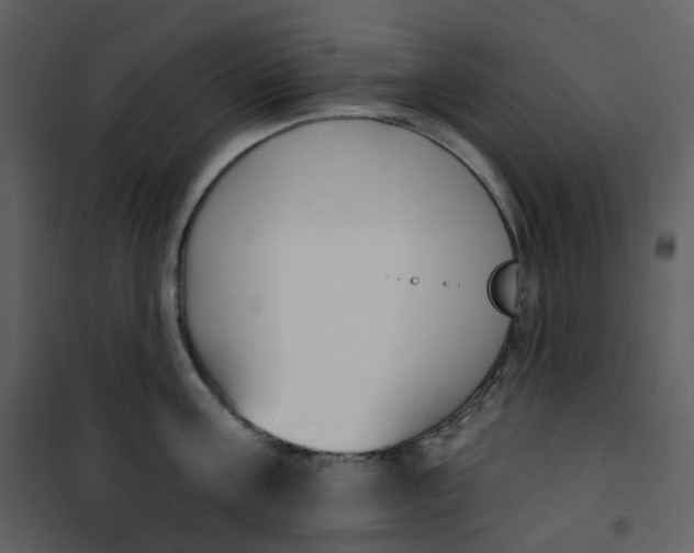 X0000101200811200807181533