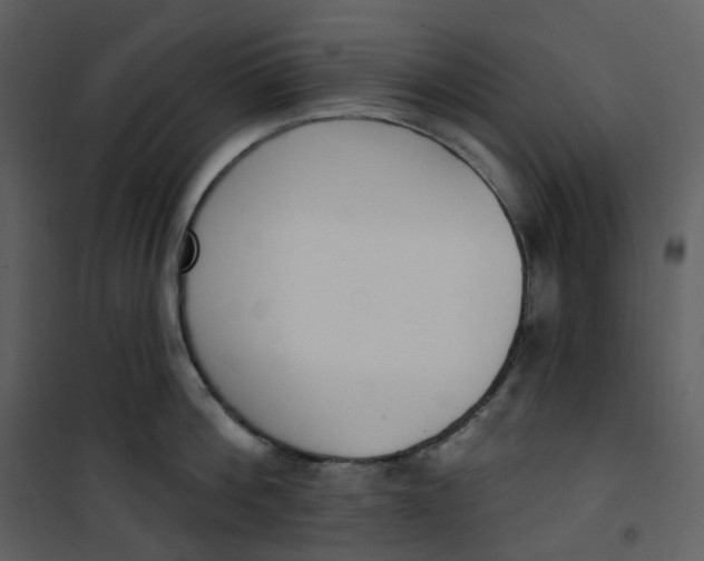 X0000101200812200807181533