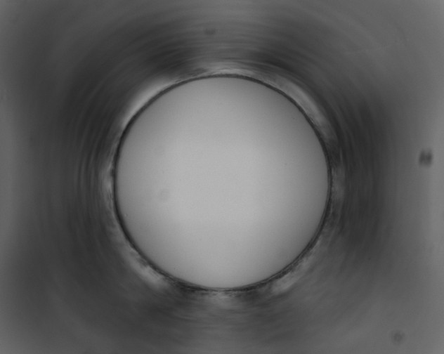 X0000101200814200807181533