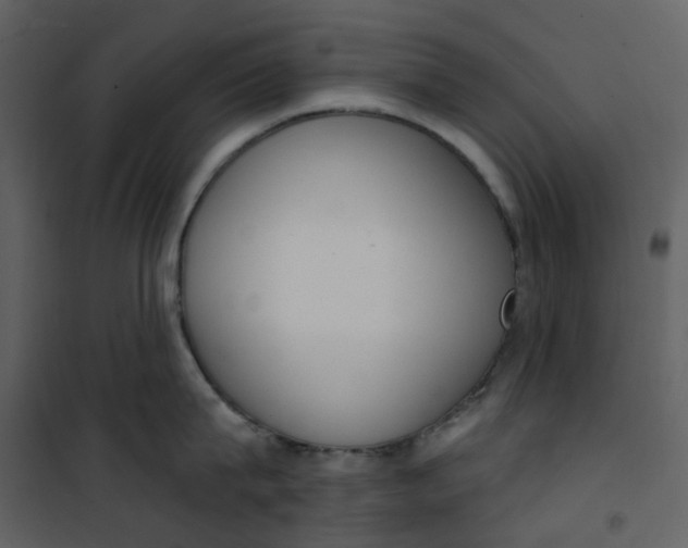 X0000101200815200807181533