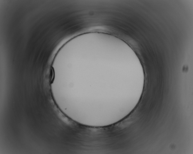 X0000101200816200807181533