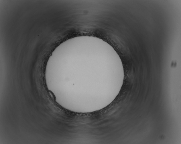 X0000101200817200807181532