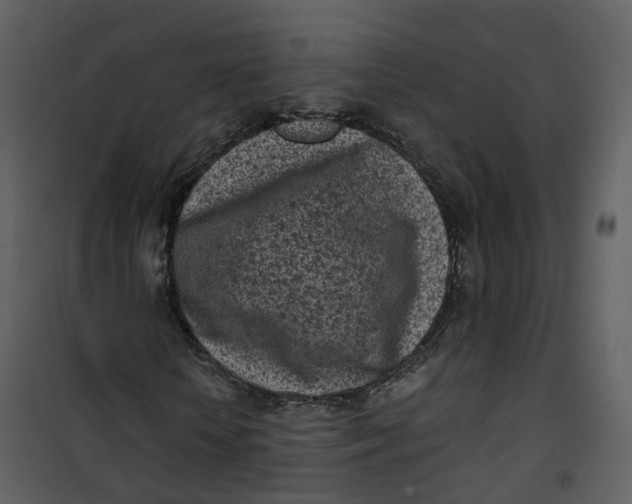 X0000101200818200807181532