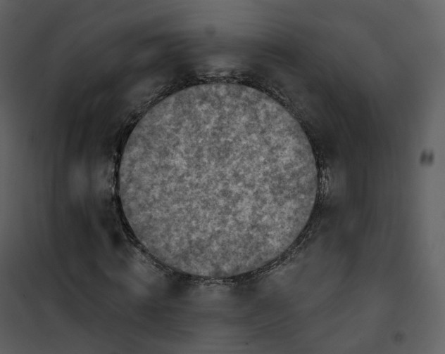 X0000101200820200807181532