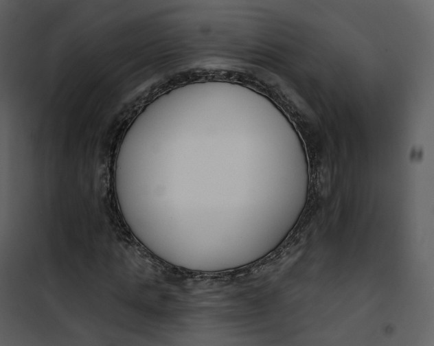 X0000101200821200807181532