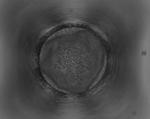 X0000101200822200807181532