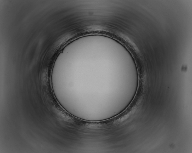 X0000101200825200807181532