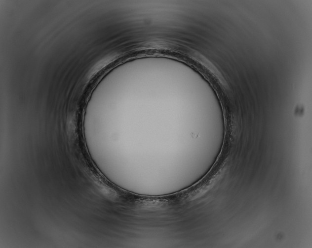 X0000101200826200807181532