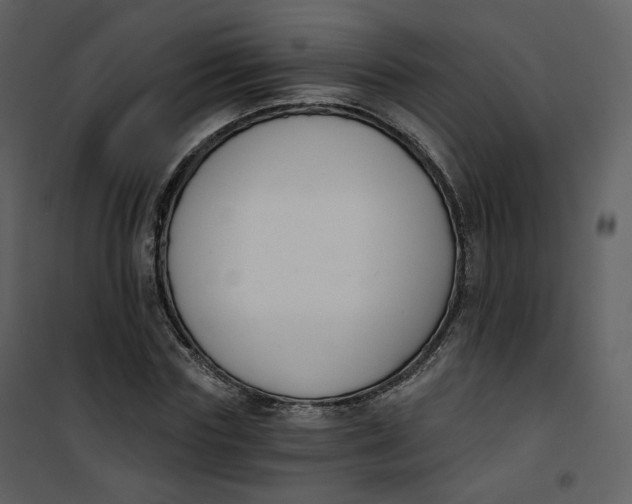 X0000101200827200807181532