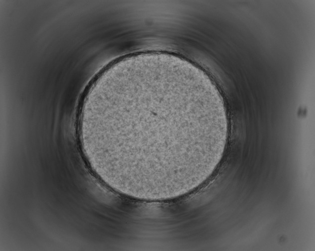 X0000101200828200807181533