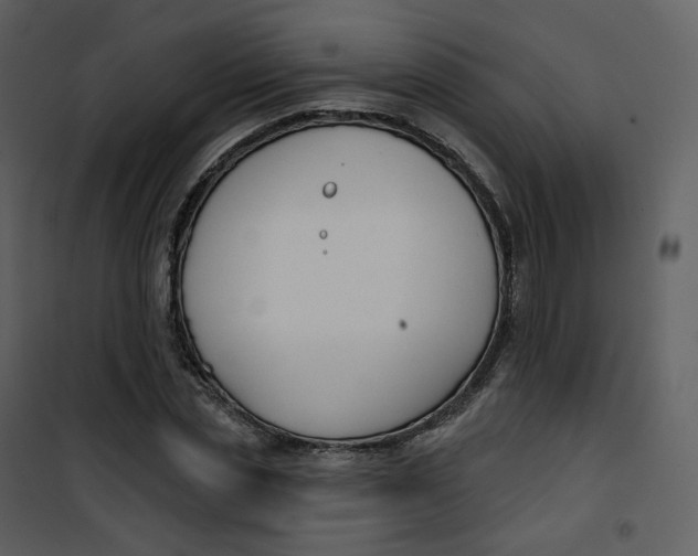 X0000101200829200807181533