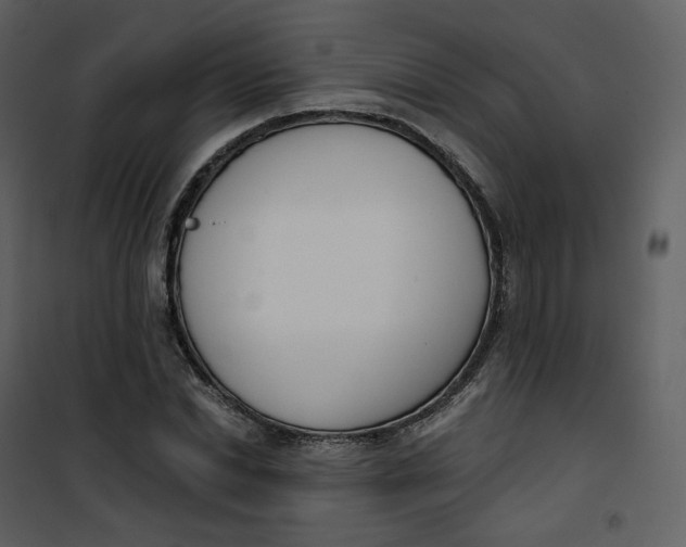 X0000101200830200807181533