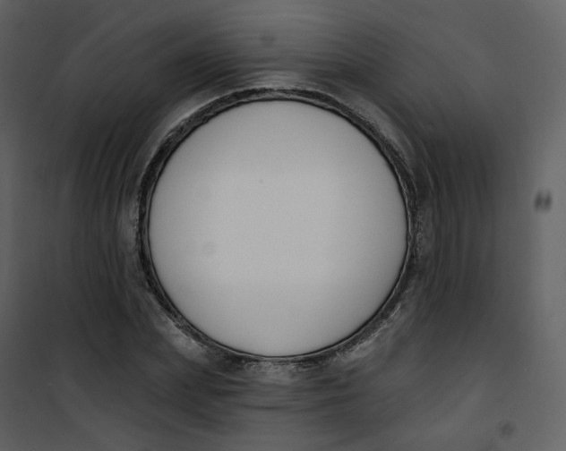 X0000101200831200807181533