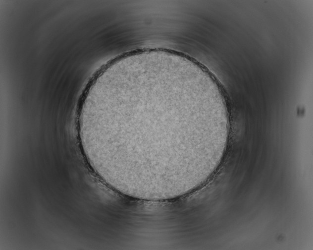 X0000101200832200807181533