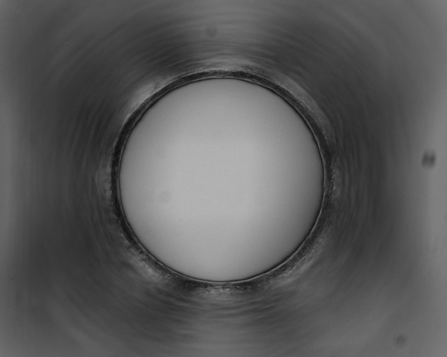 X0000101200834200807181533