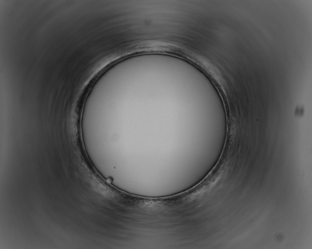 X0000101200835200807181533