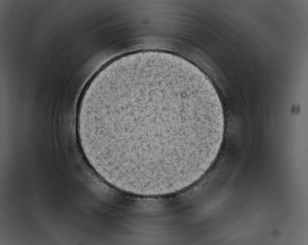 X0000101200836200807181533