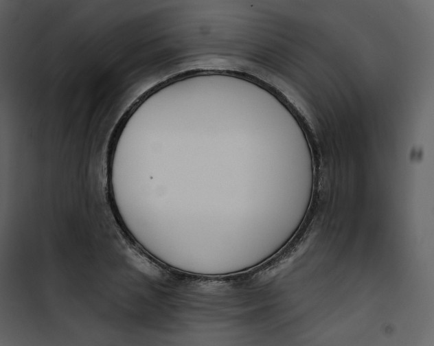 X0000101200837200807181533