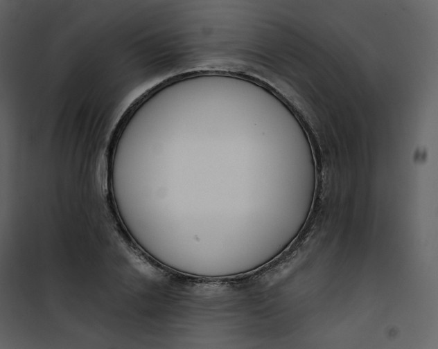 X0000101200838200807181533