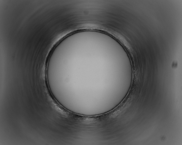 X0000101200839200807181533