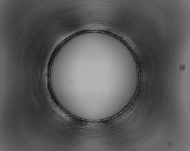 X0000101200840200807181533