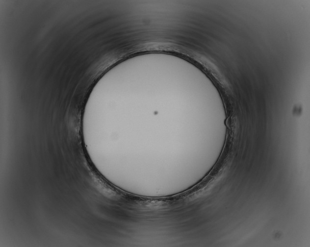 X0000101200841200807181533