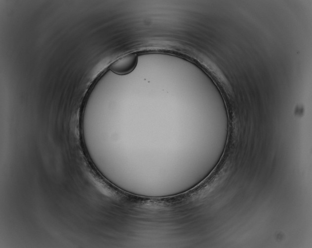 X0000101200842200807181533