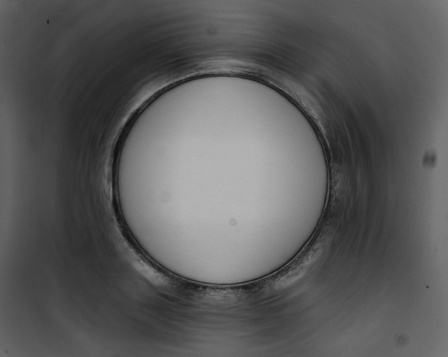 X0000101200843200807181533