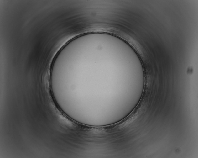 X0000101200844200807181533