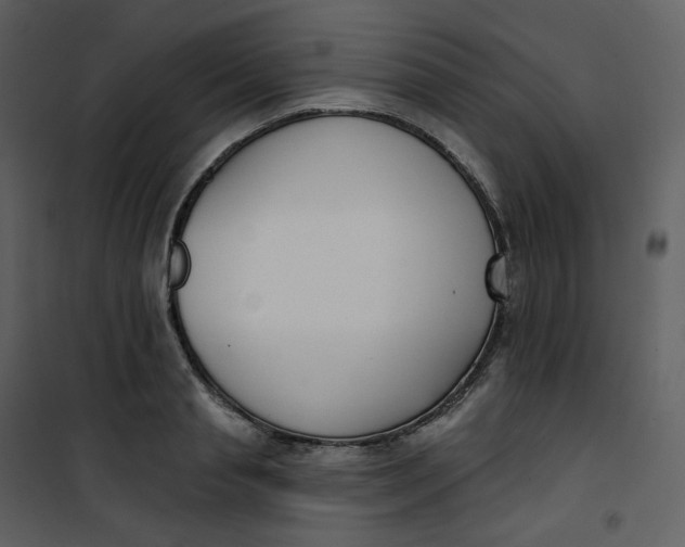 X0000101200845200807181533