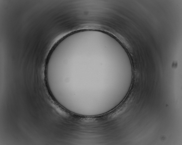 X0000101200846200807181533