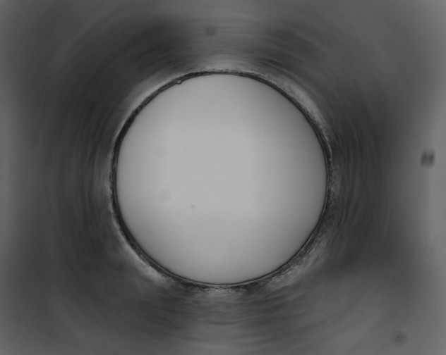 X0000101200847200807181533