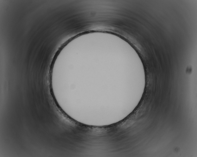 X0000101200848200807181533