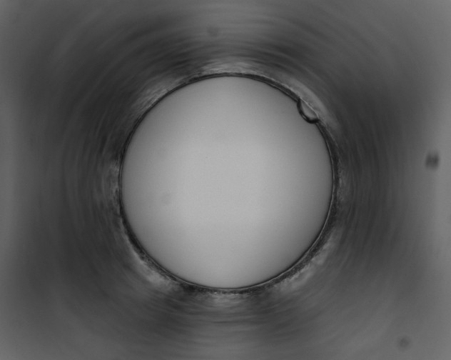 X0000101200849200807181533