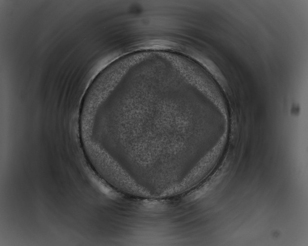 X0000101200850200807181533