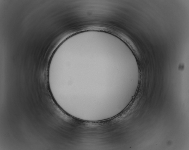 X0000101200852200807181533