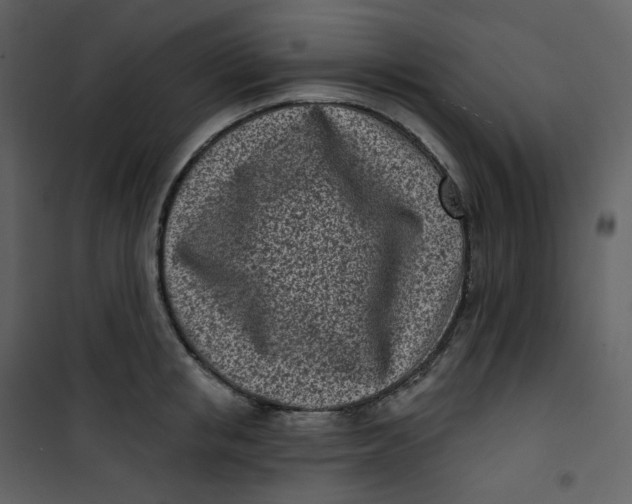 X0000101200853200807181533