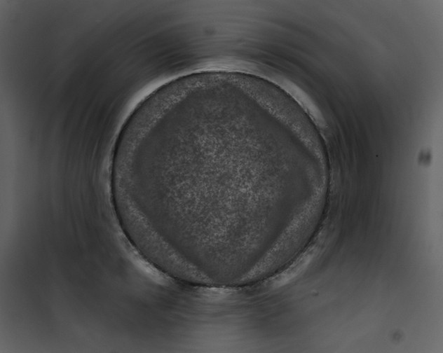 X0000101200854200807181533