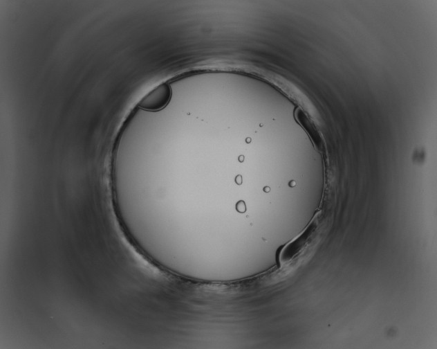 X0000101200855200807181533