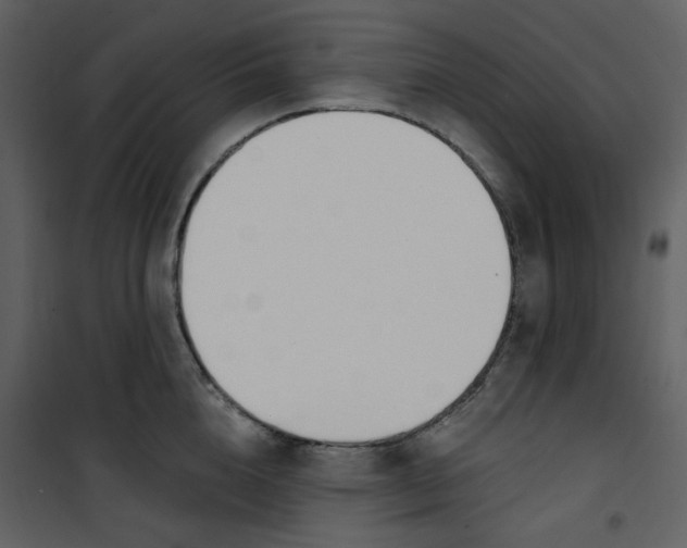 X0000101200856200807181533