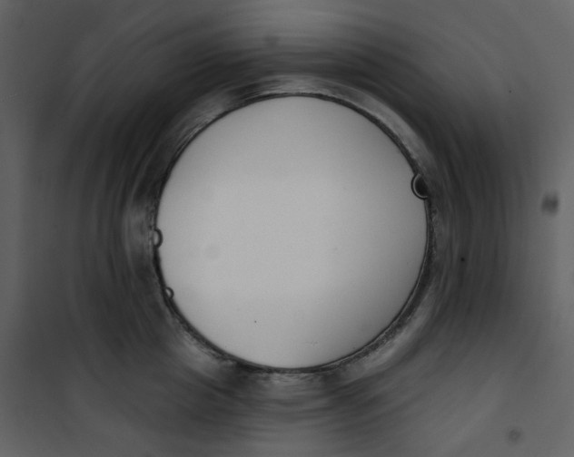 X0000101200857200807181533