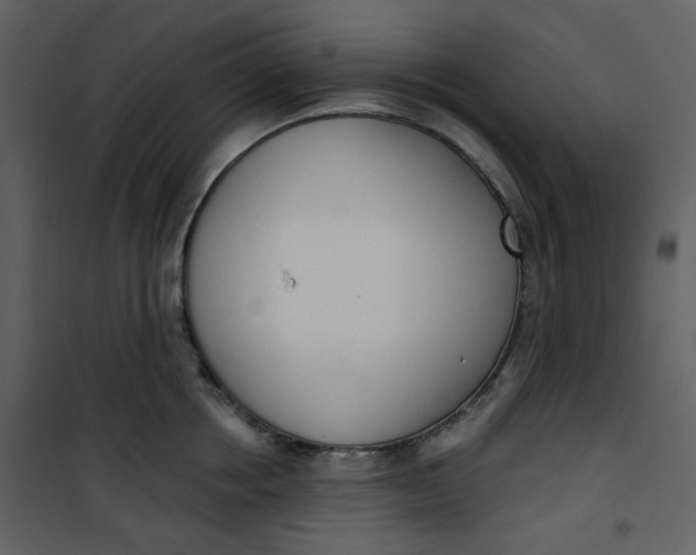 X0000101200858200807181533