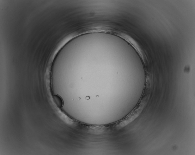 X0000101200859200807181533