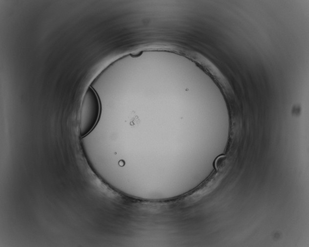 X0000101200860200807181533