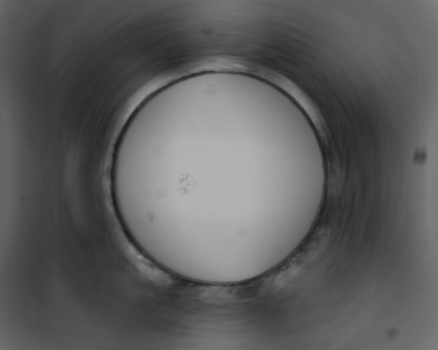 X0000101200861200807181533