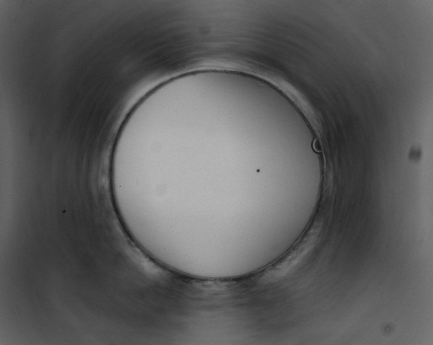 X0000101200862200807181533