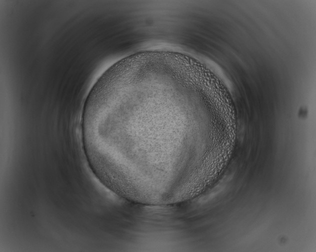 X0000101200863200807181533